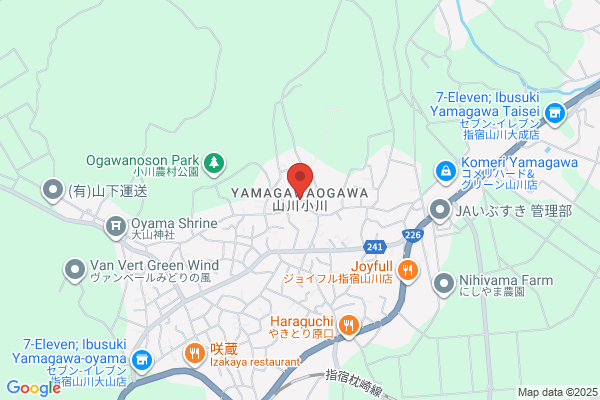 ゲオ指宿店