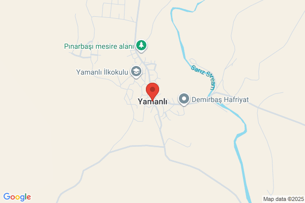 ドミノ・ピザ京都大宮店