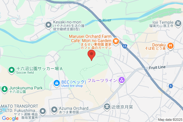 くすりのレデイ 丸亀土器店
