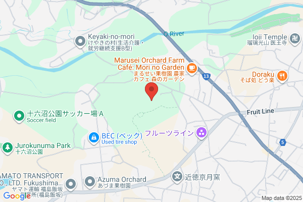 くすりのレデイ 飯山店