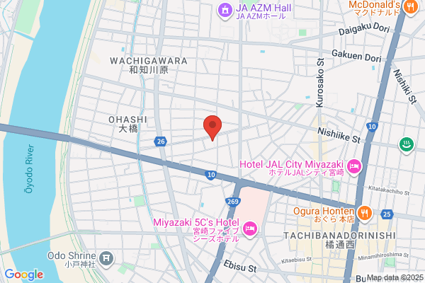 SJS DRONE PILOT