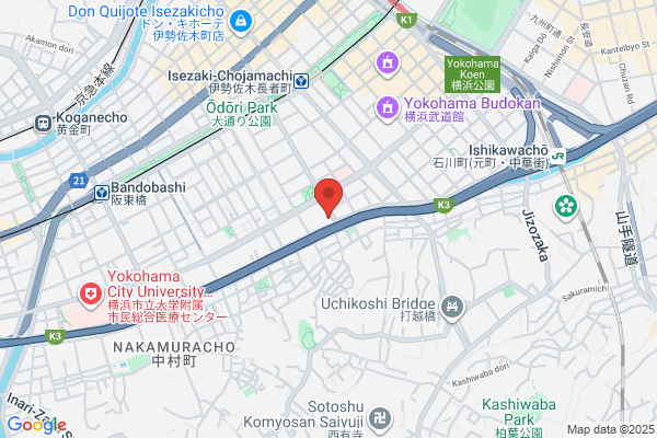 Kanagawa Denki