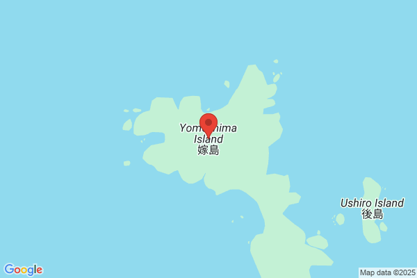 ウェルネス 学園南店