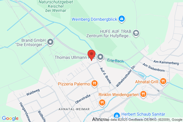 京都の子猫ブリーダー Cat Lounge